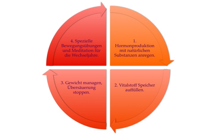 Grafik Hormony Wechseljahr Programm